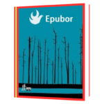 Apni Team ke Leaders ko Viksit Kaise Karen Book