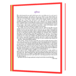 Google Success Story Hindi Book - Image 4