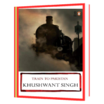 Hindi - Train to Pakistan Hindi Book