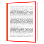 Bharat Vibhajan sardaar patel (Hindi) Book - Image 6